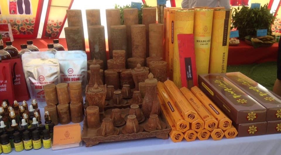 que tra bong hieu dung 14 - Trang chủ