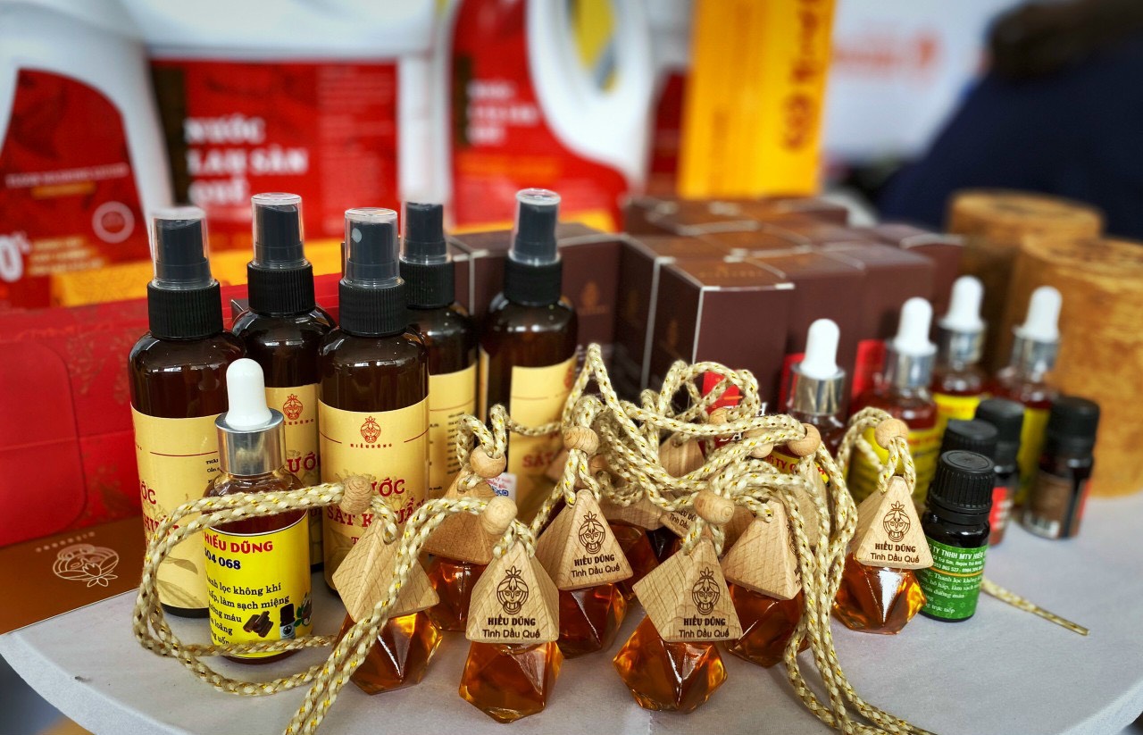 que tra bong hieu dung 18 - Giới thiệu